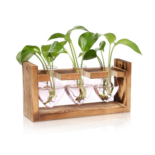Pflanzenterrarium mit Holzständer, herzförmige farbige Glasvase, Pflanzenvermehrungsstationen, Geschenk für Pflanzenliebhaber, Hydrokultur, Hausgarten, Dekoration Pflanzenterrarium mit Holzständer, herzförmige farbige Glasvase, Pflanzenvermehrungsstationen, Geschenk für Pflanzenliebhaber, Hydrokultur, Hausgarten, Dekoration von MTsigns