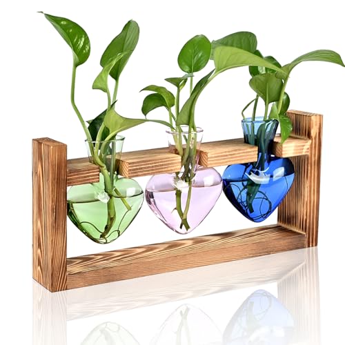 Terrarium Anzucht Stationen Hydroponik Garten Dekoration Geschenk für Frauen mit Holzständer in Herzform Bunte Glasvase Terrarium Anzucht Stationen Hydroponik Garten Dekoration Geschenk für Frauen mit Holzständer in Herzform Bunte Glasvase von MTsigns