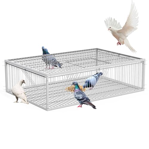 MUALROUS 93 cm Taubenfalle mit ausbruchsicherem Design Taube Taube Vogelfalle Käfig Kleine Vögel Faltbar Einweg Eingang Outdoor Terrasse Garten Bauernhof Lager Humane für Spatz Maus von MUALROUS