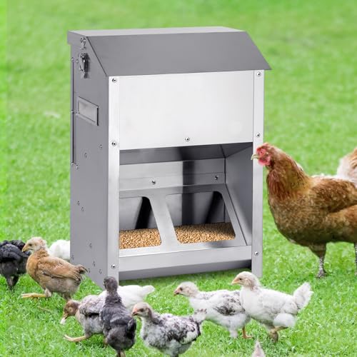 MUALROUS 9kg Automatischer Hühnerfütterer Kein Abfall Edelstahl Metall Geflügel Feeder Großer Hühnerstall Futterautomat mit Sichtfenster und regenfestem Deckel für Huhn Ente Pute, Außenbereich von MUALROUS