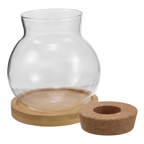 MUCKLILY 2 Sets Hydrokultur Pflanzflasche Anzuchtgläser Terrarienschale Kleine Klare Vase Hydrokulturvase Pflanzenterrarium Hydrokulturvase Glasterrarium Mit Deckel Bambus MUCKLILY 2 Sets Hydrokultur Pflanzflasche Anzuchtgläser Terrarienschale Kleine Klare Vase Hydrokulturvase Pflanzenterrarium Hydrokulturvase Glasterrarium Mit Deckel Bambus von MUCKLILY