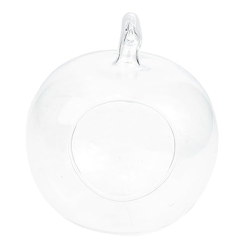 MUCKLILY Apfelform Wasserflasche Ökologisches Terrarium für Sukkulenten DIY Raumdekoration für Wohnzimmer Büro Transparentes Design Pflegeleicht MUCKLILY Apfelform Wasserflasche Ökologisches Terrarium für Sukkulenten DIY Raumdekoration für Wohnzimmer Büro Transparentes Design Pflegeleicht von MUCKLILY