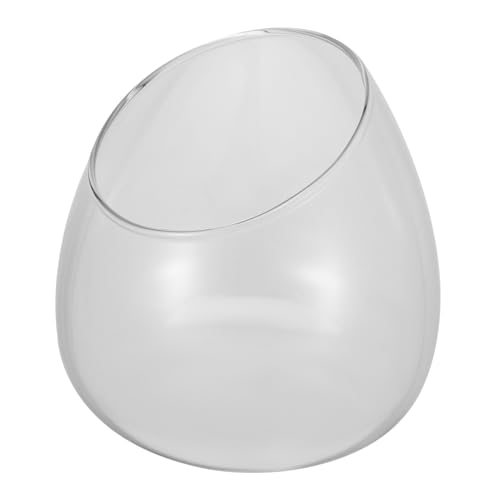 MUCKLILY Bevel Glasvase für Sukkulenten und Mikro-landschaften Transparentes Terrarium mit Dickem Bruchsicherem Glas Kreative Schrägkantige Pflanzvase für Bürodekoration von MUCKLILY