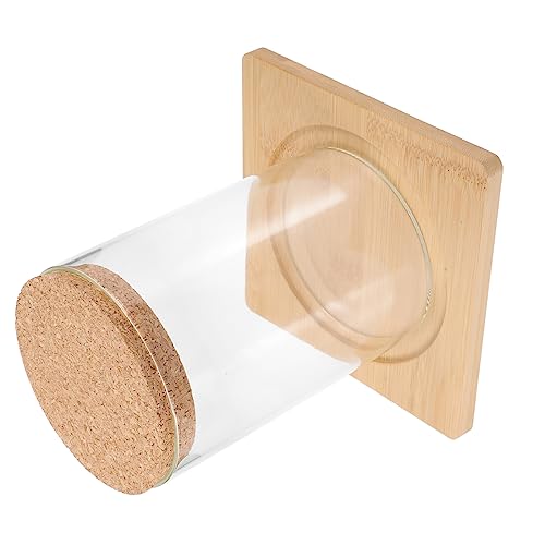 MUCKLILY Moos-Öko-Flasche Pflanzenterrarium saftiges Terrarium Wohnkultur drinnen Dekorationen Behälter für hydroponische Pflanzen Glasterrarien für Pflanzen Terrarienglas MUCKLILY Moos-Öko-Flasche Pflanzenterrarium saftiges Terrarium Wohnkultur drinnen Dekorationen Behälter für hydroponische Pflanzen Glasterrarien für Pflanzen Terrarienglas von MUCKLILY