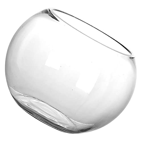 MUCKLILY Rundes Aquarium Aquariumschale Aquarium Für Zuhause Goldfischschale Aquarium Fischschalen Moderne Tisch Fischschale Aquarien Kleines Glas Transparent von MUCKLILY