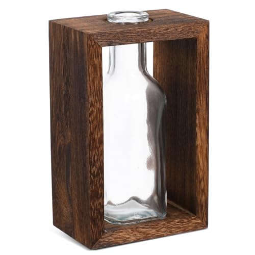 MUELODSIC 1 Set Pflanzen Terrarium Vase Pflanzen Tischdekoration Wohnzimmerdekoration Tisch Pflanzgefäß Hydrokultur Pflanzgefäß Schreibtischdekoration Für Frauen Desktop MUELODSIC 1 Set Pflanzen Terrarium Vase Pflanzen Tischdekoration Wohnzimmerdekoration Tisch Pflanzgefäß Hydrokultur Pflanzgefäß Schreibtischdekoration Für Frauen Desktop von MUELODSIC
