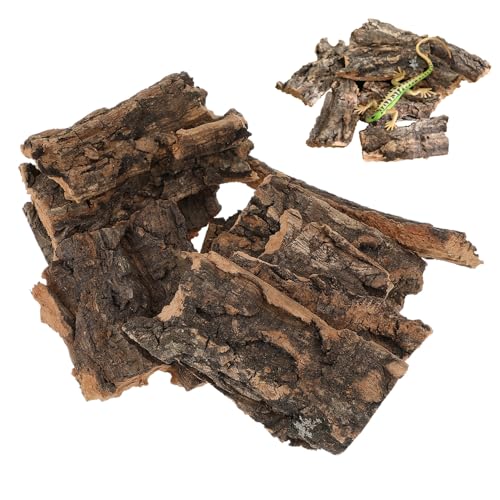 MUELODSIC 10 Stück Teiliges Reptilien Terrarium Baumrinden Natürliche Korkrinde Dekoration Kleine Basking Plattform für Echsen und Schlangen Langlebiges und Sicheres Reptilien Habitat von MUELODSIC