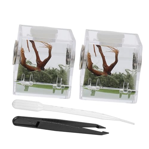 MUELODSIC 2 Satz Spider Habitat Box Klein Belüftet Einfach Zusammenzubauen Geeignet für Springspinnen Grillen und Kleine Klettertiere Praktisches Insekten Terrarium für Haushalt und von MUELODSIC