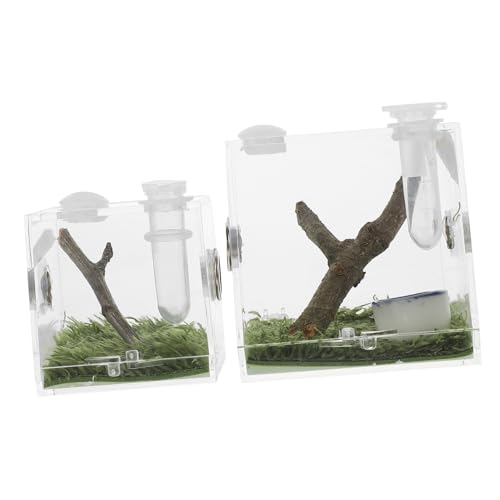 MUELODSIC 2 Stück Teiliges Transparente Springspinne Aufzuchtbox aus Belüftungslöcher Kleine Reptilien Futter und Habitatbox für Springspinnen Vogelspinnen Skorpione Geckos für von MUELODSIC