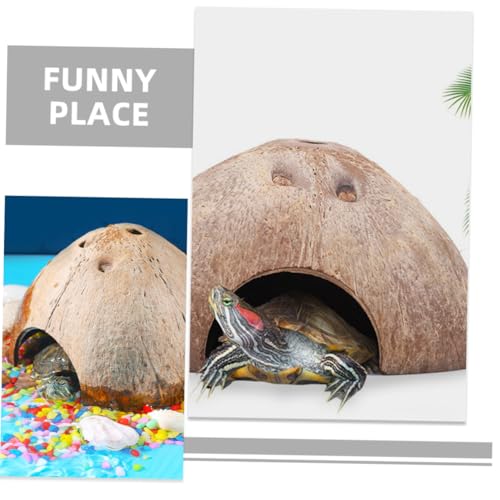 MUELODSIC 3 Stück Teiliges Kokosnussschalen versteck für Hamster und Ratten Strapazierfähiges Nagerhaus mit Glatten Kanten Geruchsneutral Sicheres Rückzugsort für Kleintiere für Kleine MUELODSIC 3 Stück Teiliges Kokosnussschalen versteck für Hamster und Ratten Strapazierfähiges Nagerhaus mit Glatten Kanten Geruchsneutral Sicheres Rückzugsort für Kleintiere für Kleine von MUELODSIC