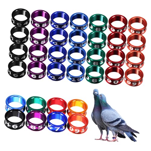 MUELODSIC 50 Stück Metall Vogel Beinringe Leg Bands für Hühner Tauben Papageien Farbig Robust Markierungsringe für Geflügel Vogelzubehör Zufällige Farbe Zufällige Farbe von MUELODSIC