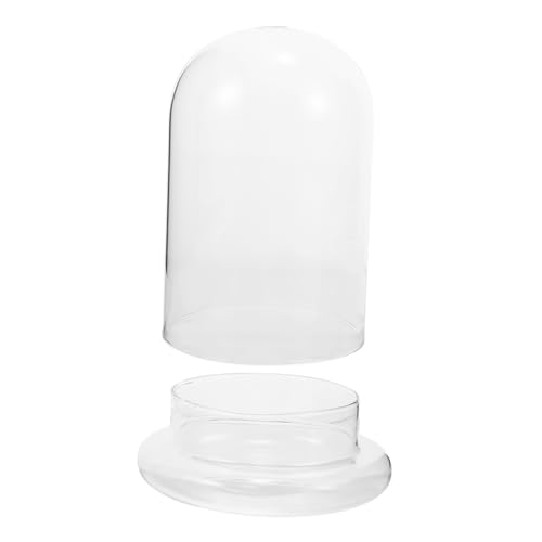 MUELODSIC Dekorative Klare Glasglocke mit Großem Loch Robustes Terrarium aus für DIY Moospflanzen Moderner Pflanzhalter Wassersparende und Korrosionsbeständige Micro Landschaftsvase für MUELODSIC Dekorative Klare Glasglocke mit Großem Loch Robustes Terrarium aus für DIY Moospflanzen Moderner Pflanzhalter Wassersparende und Korrosionsbeständige Micro Landschaftsvase für von MUELODSIC