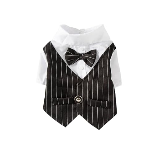 MUELODSIC Hundedress Anzug Haustier Hochzeitsoutfit mit Spitzenverzierung Eleganter Anzug für Kleine Hunde Atmungsaktiv Bequem für Alltag und Festlichkeiten Schwarz von MUELODSIC