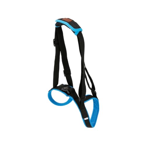 MUELODSIC Hundetreppe Hilfsgeschirr Blau Atmungsaktives Pet Support Belt für Ältere Hunde mit Beinlähmung rutschfeste Gehhilfe zum Treppensteigen und Alltagsspaziergang MUELODSIC Hundetreppe Hilfsgeschirr Blau Atmungsaktives Pet Support Belt für Ältere Hunde mit Beinlähmung rutschfeste Gehhilfe zum Treppensteigen und Alltagsspaziergang von MUELODSIC