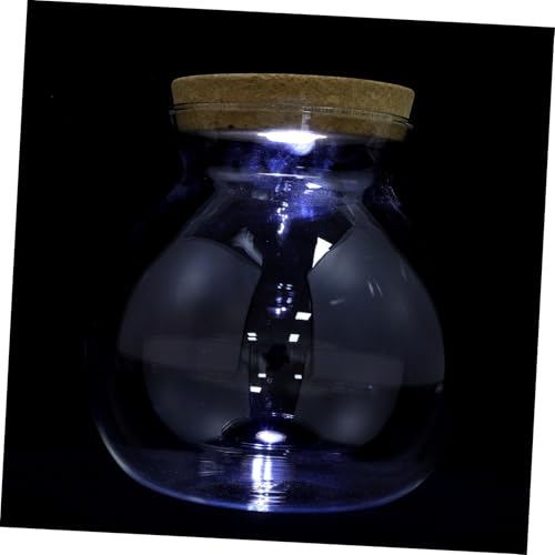 MUELODSIC LED Glasflasche mit LED Weißlicht für DIY Mikrolandschaft Transparente Zylindrische Dekoflasche für Kreative Tischdekoration und Fischbiotop Geeignet für Wohn und Büroräume MUELODSIC LED Glasflasche mit LED Weißlicht für DIY Mikrolandschaft Transparente Zylindrische Dekoflasche für Kreative Tischdekoration und Fischbiotop Geeignet für Wohn und Büroräume von MUELODSIC
