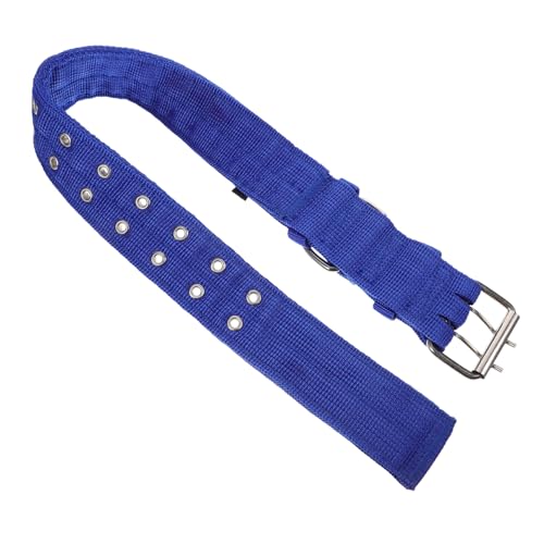 MUELODSIC Modisches Haustierhalsband aus Blauer XL Dekoratives Leichtes und Langlebiges Accessoire für Hunde und Katzen Komfortabel und Praktisch für Ganztägiges Tragen MUELODSIC Modisches Haustierhalsband aus Blauer XL Dekoratives Leichtes und Langlebiges Accessoire für Hunde und Katzen Komfortabel und Praktisch für Ganztägiges Tragen von MUELODSIC