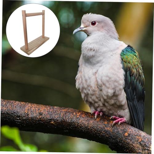 MUELODSIC Papageien Sitzstange aus Premium Holz Langlebig und Sicher Rauhe Oberfläche für Natürlichen Krallen Schnabelabrieb Robustes Vogelzubehör für Käfig für Kleine Vögel und Papageien von MUELODSIC