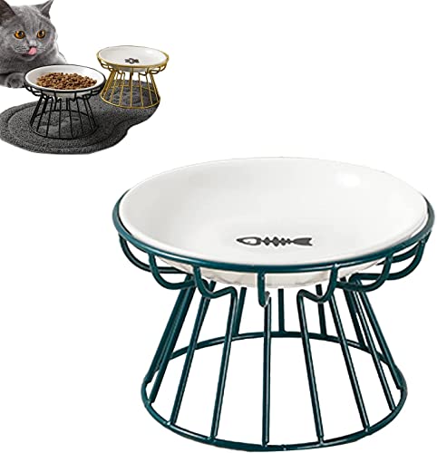 Whisker-Friendly Anti-Vomit Cat Plate, Elevated Cat Bowl, Raised Ceramic Cat Dish with Non Slip Metal Stand, Food & Water Shallow Ceramic Dish, for Indoor Cat and Small Dogs (Green, Fish Plate) von MUGUOY