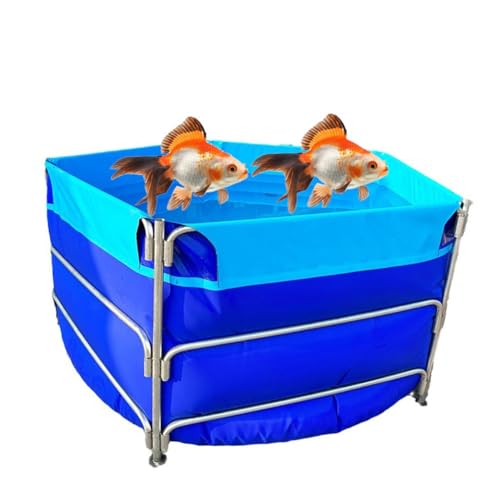 Rahmen-Schwimmbad, Segeltuch-Fischteich, kreisförmiger Verdickungspool, groß, zusammenklappbar, im Freien mit Halterung für Koi-Kultur, landwirtschaftliche Bewässerung (Farbe: Blau, Größe: 2 x 1,5 cm) von MUHM