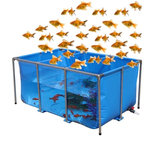 Rahmen-Schwimmbad, transparenter Aquarium-Pool-Teich mit Ablaufventil, PVC-Leinwand-Stahlrahmen und transparentem Sichtfenster für Teiche, Aquarien, Koi-Goldfische (Farbe: Blau + Transparent, Größe: von MUHM