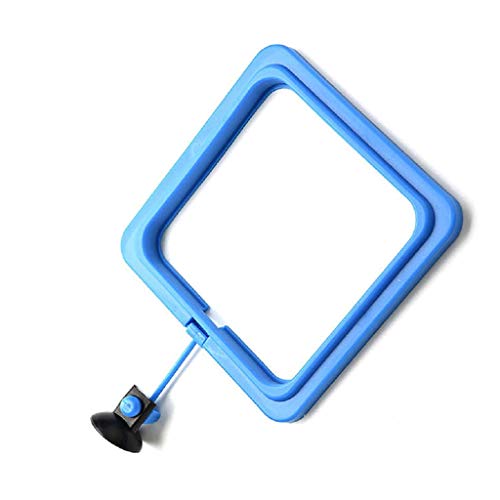 Betta Feeding Round Square Floating Feed Circles Suitable For Small Fish Reducing Waste & Maintain Water Quality Household Pet Products Fish And Aquatic Life Supplies Feeding Device Aquarium Betta Feeding Round Square Floating Feed Circles Suitable For Small Fish Reducing Waste & Maintain Water Quality Household Pet Products Fish And Aquatic Life Supplies Feeding Device Aquarium von MULAIDI