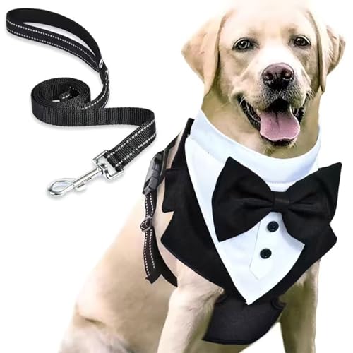 Hundegeschirr Hunde mit Fliege zu Hochzeitsoutfit, Hundegeschirr Kostüm für Hunde, Verstellbar Einstellbar Geschirr Hund Formelle Hundeanzug-Kleidung für Geburtstagsoutfit, Hundeanzug (B, L) von MUMEOMU