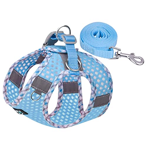 Hundegeschirr Kleine Hunde Geschirr Hund Weich Gepolstert Hunde Geschirr Reflektierend, Air-Mesh Brustgeschirr für Welpen Kleine Hunde, Haustiere, Katzen, Verstellbare Atmungsaktive (Sky Blue, L) von MUMEOMU