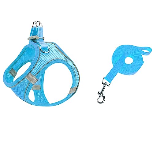 Hundegeschirr mit Leine Set, Step-in Weich Gepolstert Geschirr Reflektierend, Weich Gepolstert Air-Mesh Atmungsaktiv Brustgeschirr, Welpengeschirr für Kleine Hunde, Haustiere, Welpen, Katzen (B, 2XS) von MUMEOMU