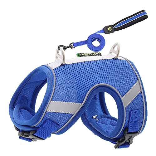 MUMEOMU Reflektierendes Hundegeschirr mit Leine für Kleine Mittele Hunde Katzen Weiches Atmungsaktives Welpengeschirr Mesh, Brustgeschirr Doppelt Gepolsterte Weste mit Verstellbarem Brust (Blue, M) von MUMEOMU