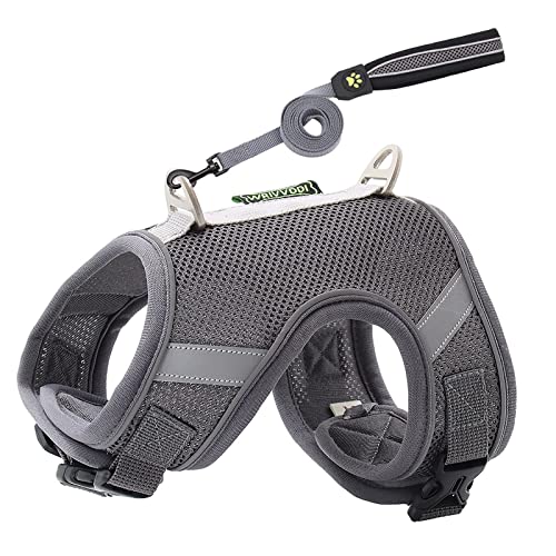 MUMEOMU Reflektierendes Hundegeschirr mit Leine für Kleine Mittele Hunde Katzen Weiches Atmungsaktives Welpengeschirr Mesh, Brustgeschirr Doppelt Gepolsterte Weste mit Verstellbarem Brust (Grey, XS) von MUMEOMU