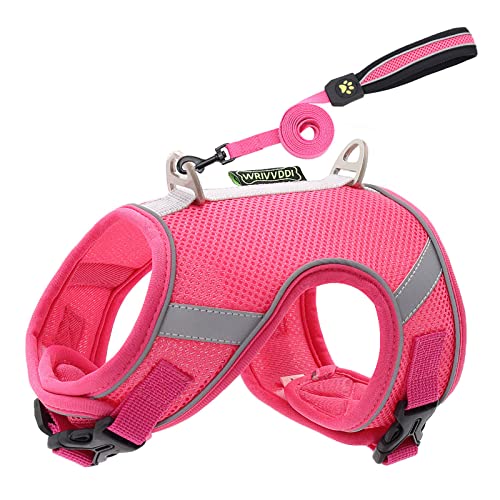 Reflektierendes Hundegeschirr mit Leine für Kleine Mittele Hunde Katzen Weiches Atmungsaktives Welpengeschirr Mesh, Brustgeschirr Doppelt Gepolsterte Weste mit Verstellbarem Brust (Hot Pink, M) von MUMEOMU