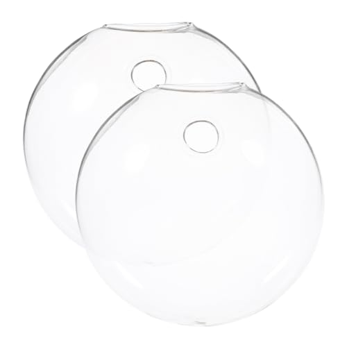 MUSISALY 2 Stück Transparente Wandbehang-pflanzgefäße, Terrarium, Klare Hydrokultur-vase Für Zimmerpflanzen, Dekorative Glas-blumenvase, Hängendes Glas-Terrarium von MUSISALY