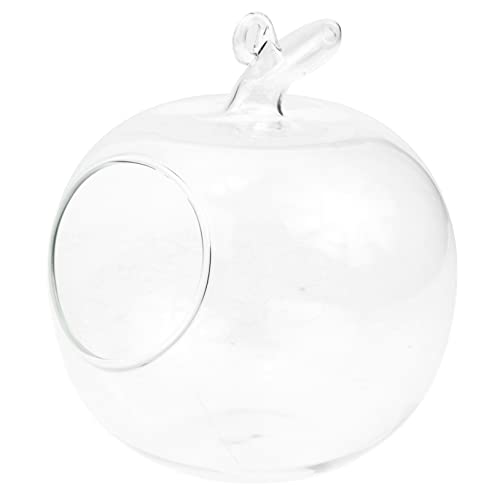 MUSISALY Micro Landscape Bottle Form Glasvase Für Pflanzen Ökologische DIY Terrarium Behälter Für Und Garten Transparentes Design Langlebig Und von MUSISALY