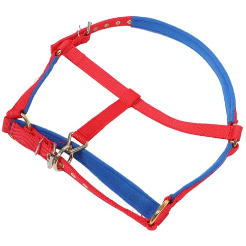 MUSISALY Safety Horse Bequemes Und Verstellbares Halsband Für Das Training Für Wettkämpfe von MUSISALY