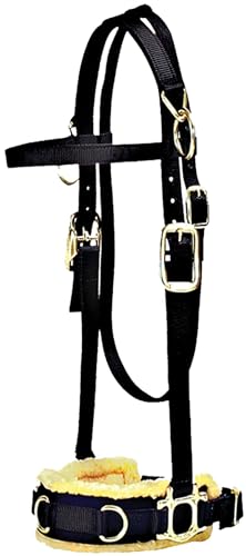 Mustang Nylon Ausfallschritte caveson Mustang Nylon Ausfallschritte caveson von MUSTANG
