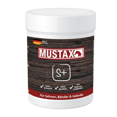 MUSTAX SEHNEN+ für Pferde: Unterstützt Gelenke & Bewegungsapparat, mit MSM, Methionin, Vitaminen & Hefen, ADMR-konform, ohne Zucker/Soja/Hafer/Weizen (1 kg) von MUSTAX