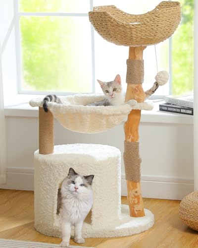 MUTTROS Moderner Katzenbaum für große Katzen, Katzenturm aus Holz für Indoor-Katzen, echtes Ast, Luxus-Katzenmöbel mit super großer gemütlicher Höhle und Hängematte & Kratzbaum, oberer Korb, Weiß von MUTTROS