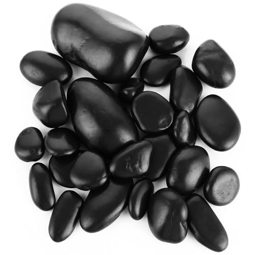 MUXHEL 1.5 kg Dekosteine schwarz, 2-8cm Kieselsteine Schwarze, Kieselsteine Garten, Dekosteine Flusskiesel, Deko Aquarium Kies Schwarz, für Aquarium, Blumentopf, Landschaftsbau, Vasenfüller MUXHEL 1.5 kg Dekosteine schwarz, 2-8cm Kieselsteine Schwarze, Kieselsteine Garten, Dekosteine Flusskiesel, Deko Aquarium Kies Schwarz, für Aquarium, Blumentopf, Landschaftsbau, Vasenfüller von MUXHEL