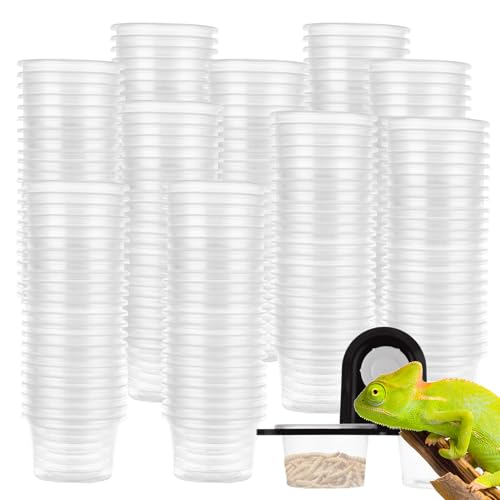 MUXHEL 500 Stück 28 ml Gecko-Futter- und Wasserbecher mit Becherleiste, Kunststoff-Reptilien-Futternäpfe, kleine Haustiere Fütterungsbecher für Gecko, Eidechsen, Vogelspinne, kleine Reptilien MUXHEL 500 Stück 28 ml Gecko-Futter- und Wasserbecher mit Becherleiste, Kunststoff-Reptilien-Futternäpfe, kleine Haustiere Fütterungsbecher für Gecko, Eidechsen, Vogelspinne, kleine Reptilien von MUXHEL