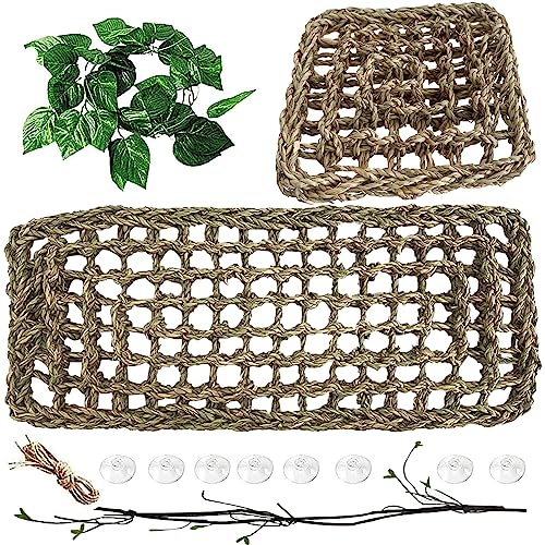 MUYG Bartdrachen-Hängematte, Reptilien, natürlicher Algen, Hängematte, Dekoration, Terrarium, Lebensraum, Pflanze, Dschungel, Klettern, Ranken, Zubehör für Eidechsen, Schlangen, Krone (4 Stück) von MUYG