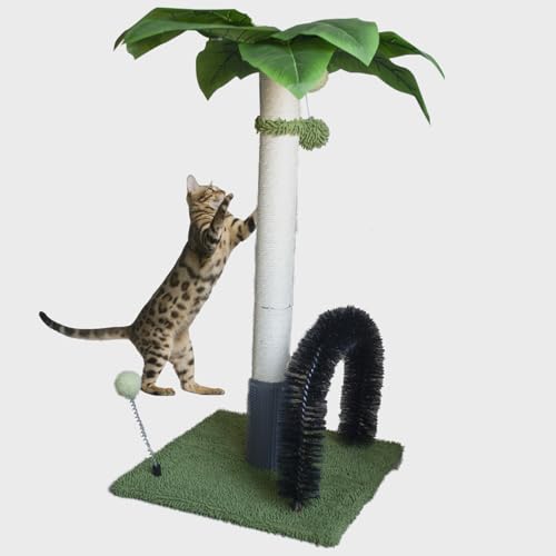 MUYG Katzenkratzbaum, 75 cm hoch, Palme, natürlicher Sisal, mit interaktiven Bällen und Selbstpflegebürste für Indoor-Katzen, niedliches Kätzchen, Erwachsene, Katzen (grün) von MUYG