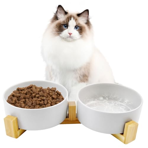 MUYG Keramik-Katzennäpfe mit Bambus-Ständer, rutschfestes Futter- und Wassernapf-Set für kleine Hunde, kein Verschütten, modern, niedlich, beschwerter Katzennapf für kleine Hunde, Welpen, Katzen, MUYG Keramik-Katzennäpfe mit Bambus-Ständer, rutschfestes Futter- und Wassernapf-Set für kleine Hunde, kein Verschütten, modern, niedlich, beschwerter Katzennapf für kleine Hunde, Welpen, Katzen, von MUYG