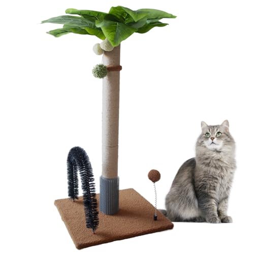 MUYG Kratzbaum mit Palme, 75 cm hoch, für Kätzchen, natürliches Sisal, mit hängenden interaktiven Bällen und Selbstpflegebürste (Kaffee) von MUYG