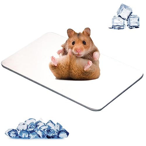 MUYYIKA Kaninchen-Kühlkissen Hamster-Kühlkissen für Haustiere Kühlplatte aus Aluminiumlegierung Kühlen von Haustieren für Meerschweinchen Hamster Kaninchen usw (120×80mm) von MUYYIKA