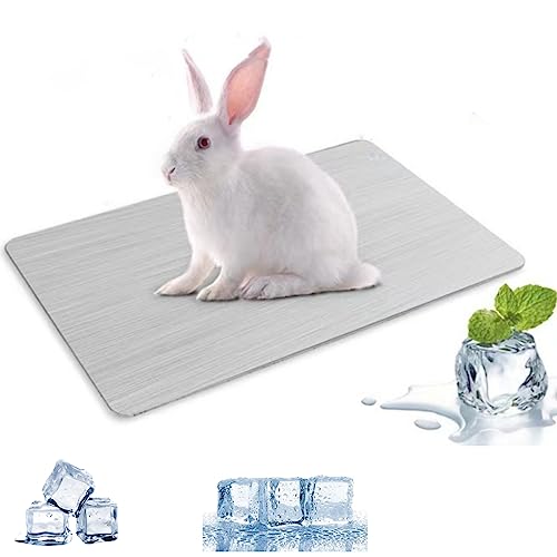 MUYYIKA Kaninchen-Kühlkissen Hamster-Kühlkissen für Haustiere Kühlplatte aus Aluminiumlegierung Kühlen von Haustieren für Meerschweinchen Hamster Kaninchen usw (300×200mm) von MUYYIKA