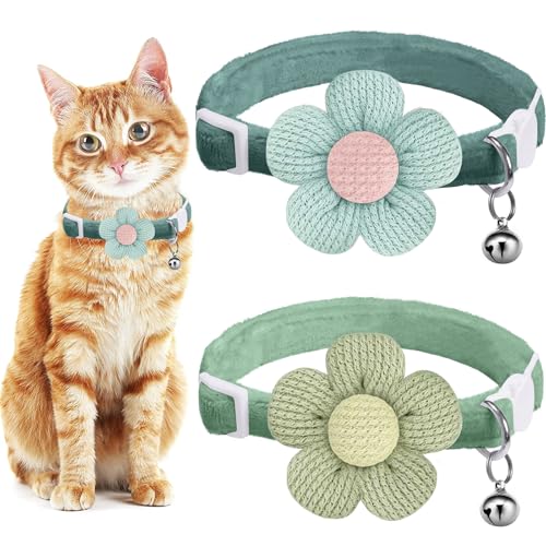 Breakaway Katzenhalsbänder mit Glöckchen, MUZIEBA Kätzchen-Halsband für Mädchen und Jungen, verstellbare Sicherheits-Halsbänder für Katzen, Welpen und kleine Haustiere (Blau + Grün) von MUZIEBA
