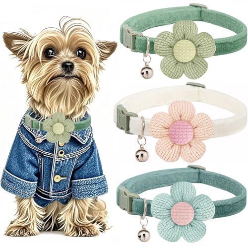 Welpenhalsbänder, kleines Hundehalsband für Mädchen und Jungen, XS Hundehalsbänder für kleine Hunde für weibliche männliche Hunde mit Blume und Glocke (Weiß + Grün + Blau) von MUZIEBA