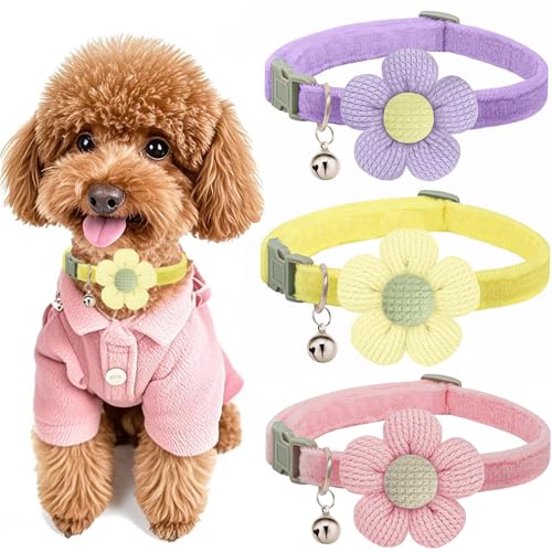 Welpenhalsbänder, kleines Hundehalsband für Mädchen und Jungen, XS Hundehalsbänder für kleine Hunde für weibliche und männliche Hunde mit Blume und Glocke (Rosa + Lila + Gelb) von MUZIEBA