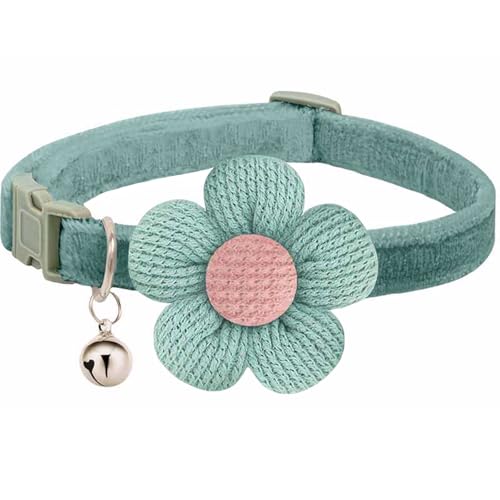Welpenhalsbänder für Streu, kleines Hundehalsband mit Blume, Hundehalsbänder für kleine Hunde mit Glöckchen, Länge verstellbar Welpenhalsbänder für Streu, kleines Hundehalsband mit Blume, Hundehalsbänder für kleine Hunde mit Glöckchen, Länge verstellbar von MUZIEBA