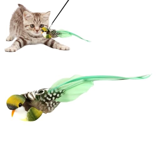 MWZBTG 5Stück Katzenspielzeug Feder Ersatz, Interaktive Katze Federspielzeug, Katzenangel Ersatzfedern Mit Anhänger Feder, Federn Katzen Spielzeug, Katzen Zauberstab Nachfüllungen Mit Glöckchen von MWZBTG
